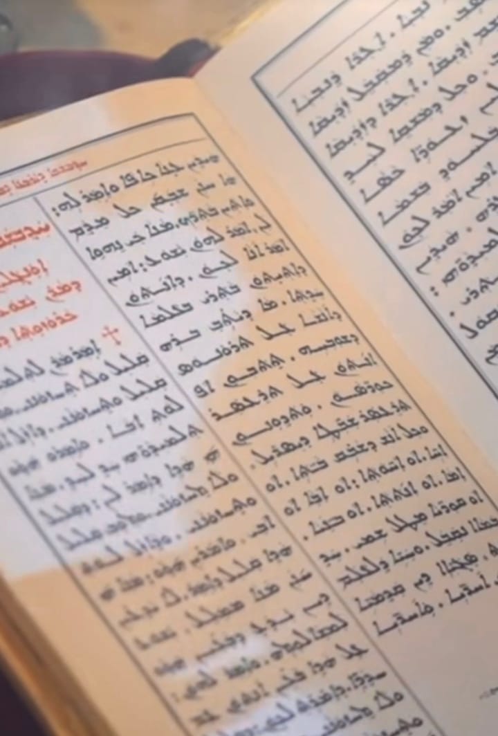 Chaldean Neo-Aramaic: A Language in Danger